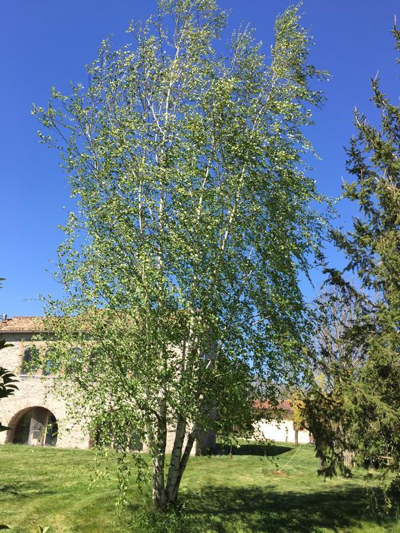 Agriturismo Le Due Arcate Βίλα San Massimo  Εξωτερικό φωτογραφία