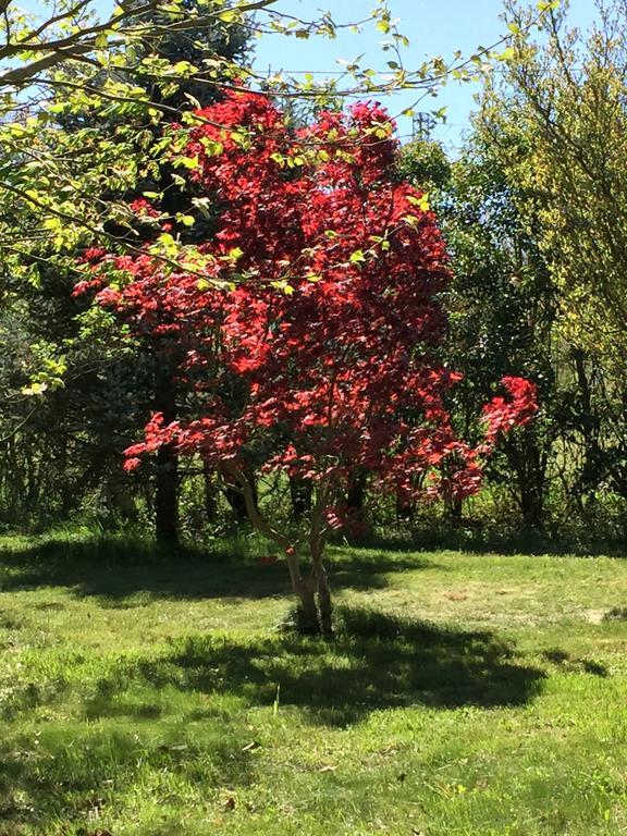 Agriturismo Le Due Arcate Βίλα San Massimo  Εξωτερικό φωτογραφία